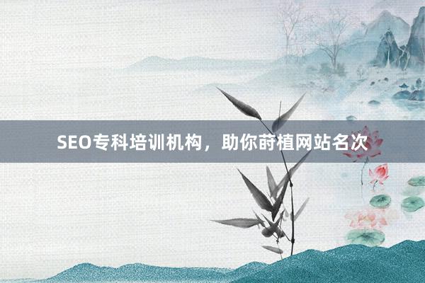 SEO专科培训机构,助你莳植网站名次